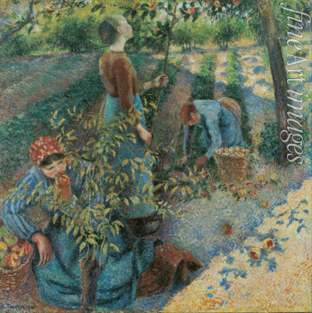 Pissarro Camille - Apple Picking