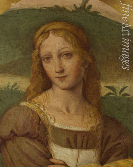 Luini Bernardino - Female figure