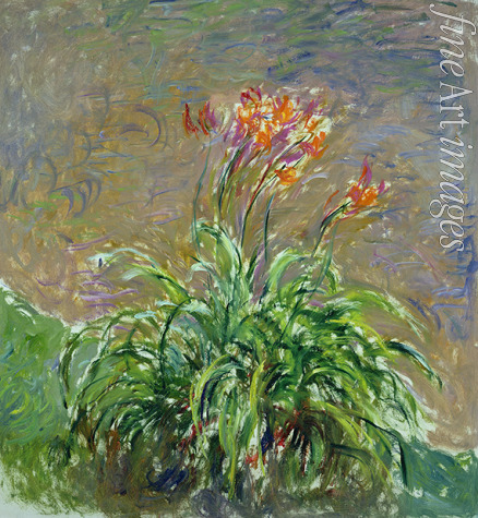 Monet Claude - Daylilies (Les Hémérocalles)
