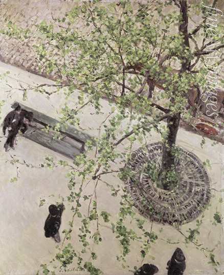 Caillebotte Gustave - Boulevard Seen from Above