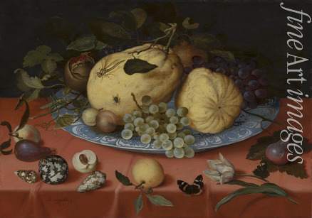 Ast Balthasar van der - Früchte-Stillleben mit Muscheln und Tulpe