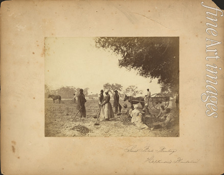 Moore Henry P. - Slaves working in the sweet potato fields on the Hopkinson plantation