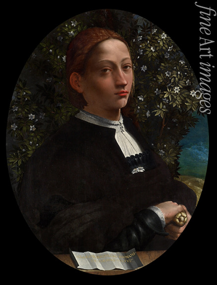 Dossi Battista - Porträt von Lucrezia Borgia (1480-1519)