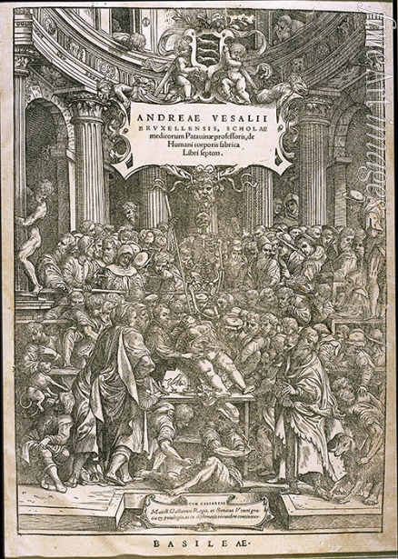 Calcar Jan Stephan van - Title page from De humani corporis fabrica by Andreas Vesalius