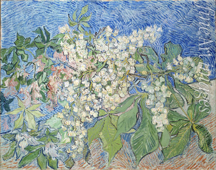 Gogh Vincent van - Branches de marronniers en fleur