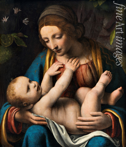 Luini Bernardino - Madonna and Child