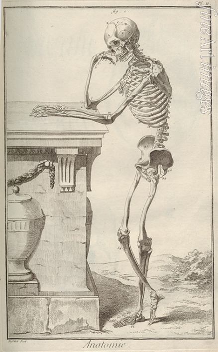 Unbekannter Künstler - Anatomie. Aus Encyclopédie von Denis Diderot and Jean Le Rond d'Alembert