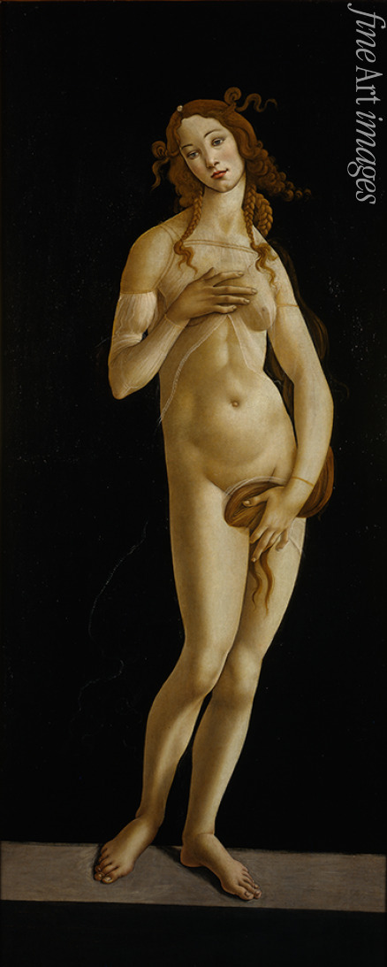 Botticelli Sandro - Venus Pudica