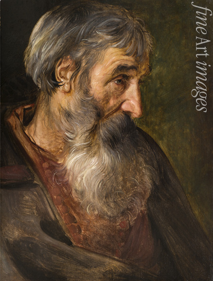 Vos Maerten de - The head of an old bearded man 
