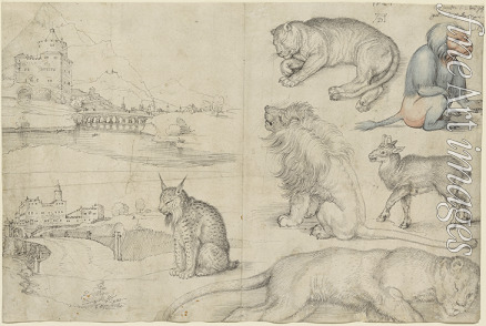 Dürer Albrecht - Skizzen von Tieren und Landschaften