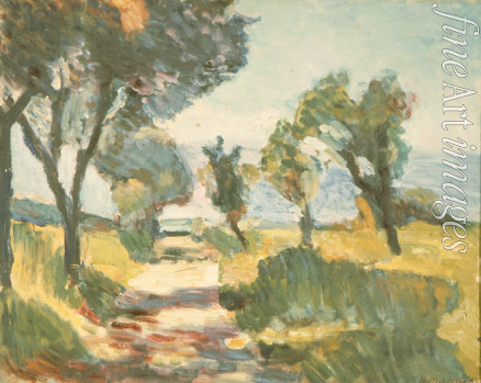 Matisse Henri - Corsican landscape. Olive trees