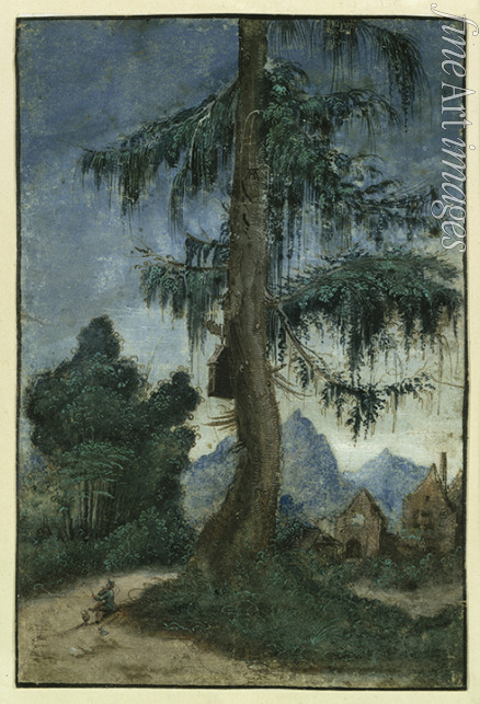 Altdorfer Albrecht - Landscape with a spruce