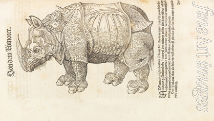 Gesner (Gessner) Conrad (Konrad) - Rhinoceros. From Historia animalium