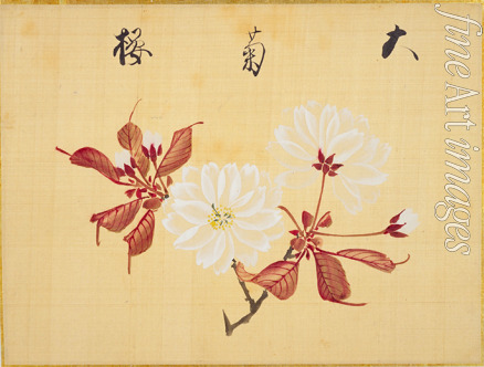 Sakamoto Konen - From the Sketch Book of Sakura (Cherry Blossoms)