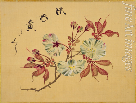 Sakamoto Konen - Aus dem Sakura-Skizzenbuch (Kirschblüten)