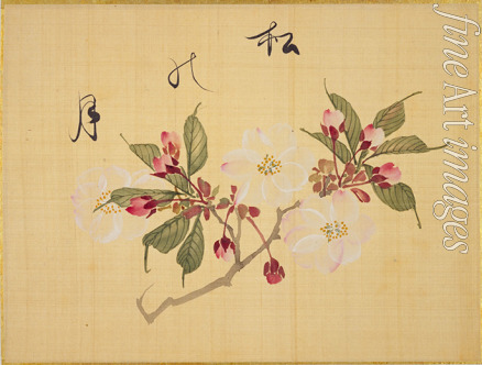 Sakamoto Konen - From the Sketch Book of Sakura (Cherry Blossoms)