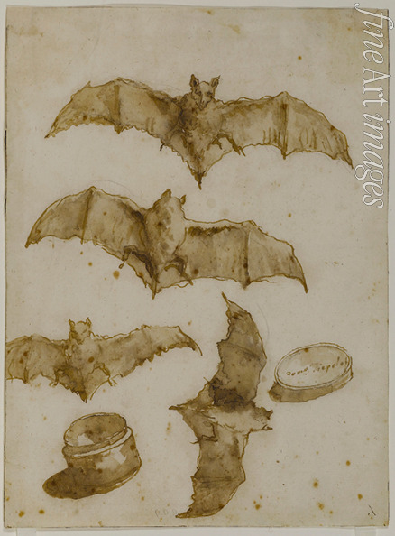 Tiepolo Giandomenico - Study of bats and open box