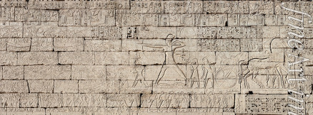 Ancient Egypt - Egyptian campaign against the Sea Peoples. Relief from the temple of Ramesses III at Medinet Habu