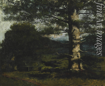 Courbet Gustave - Cedar Tree at Hauteville