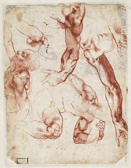 Buonarroti Michelangelo - Studies of figures and limbs