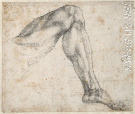 Buonarroti Michelangelo - Studie eines Beins