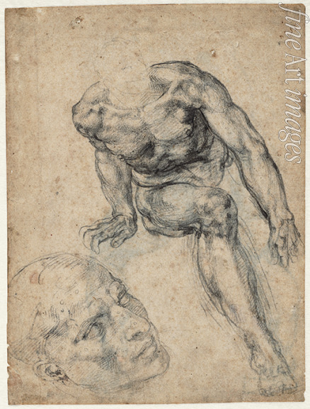 Buonarroti Michelangelo - Study of a male nude