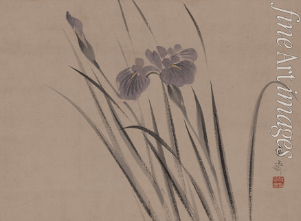 Kansai Mori - Irise, sich im Winde wiegend